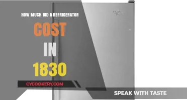 Chilling History: 1830 Refrigerator Costs and Early Cooling Innovations