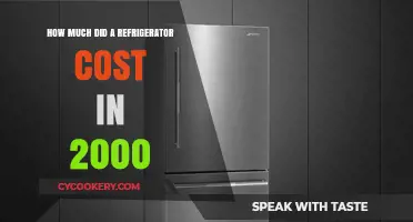 Chilling Costs: Exploring Refrigerator Prices in the Year 2000