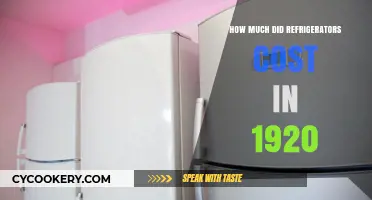 1920s Refrigerator Prices: A Look Back at Cooling Costs