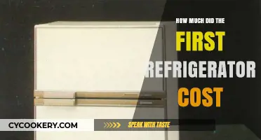 The Surprising Price Tag of the First Refrigerator: A Historical Look