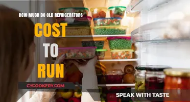Old Refrigerators' Energy Costs: How Much Are You Spending?
