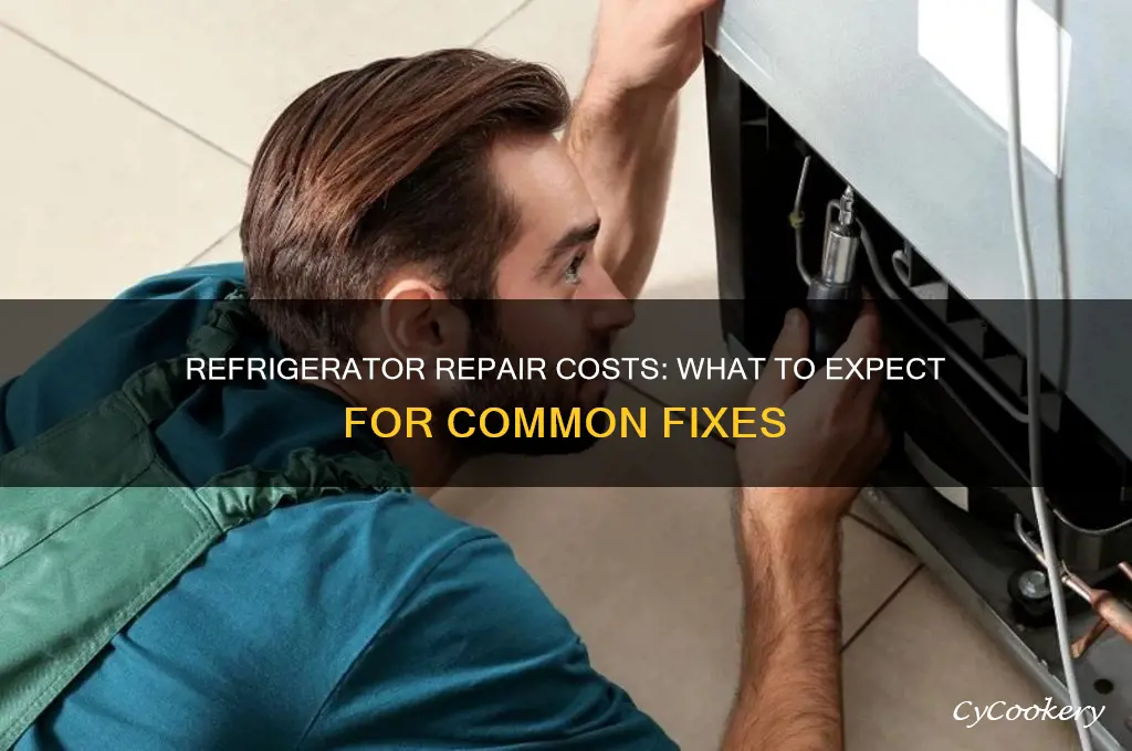 how much do refrigerators cost to repair