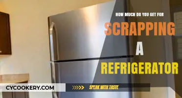 Scrapping Your Old Fridge: How Much Cash Can You Earn?
