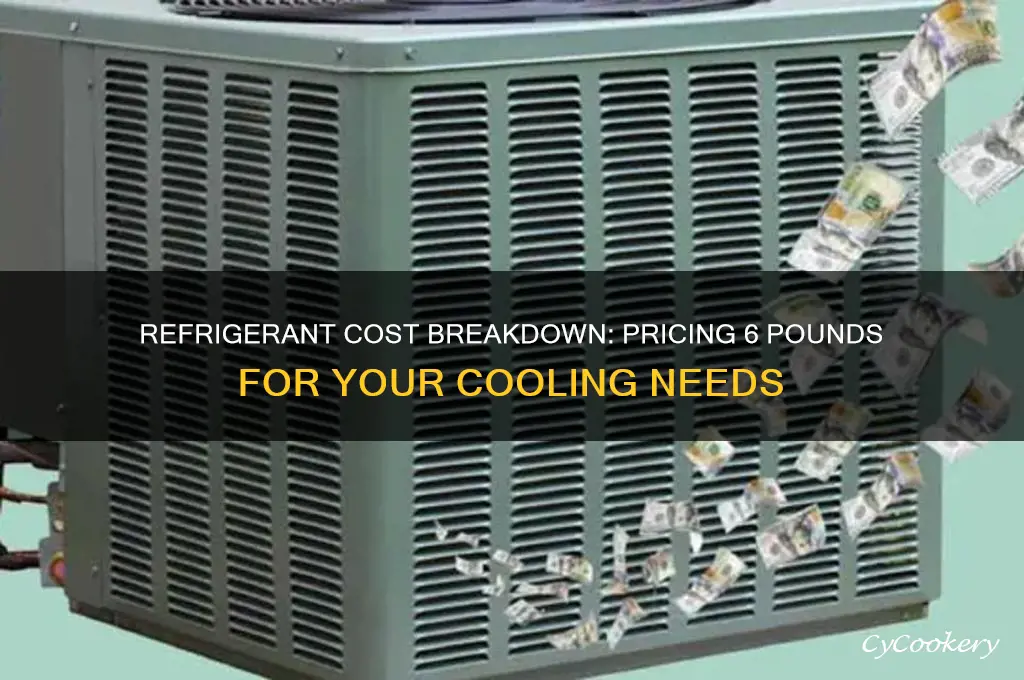 how much does 6 pounds refrigerant cost
