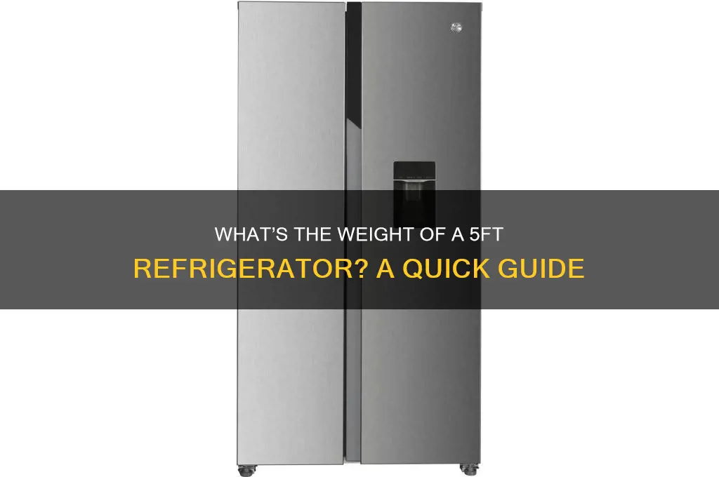 how much does a 5ft refrigerator weigh