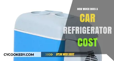 Car Refrigerator Costs: What to Expect When Buying One