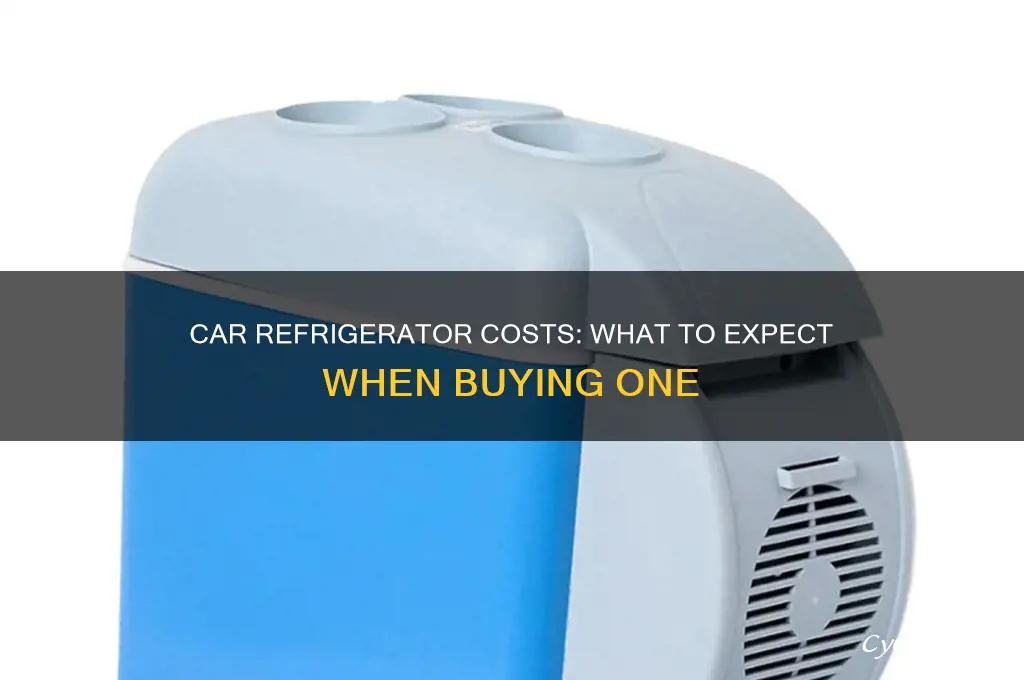 how much does a car refrigerator cost