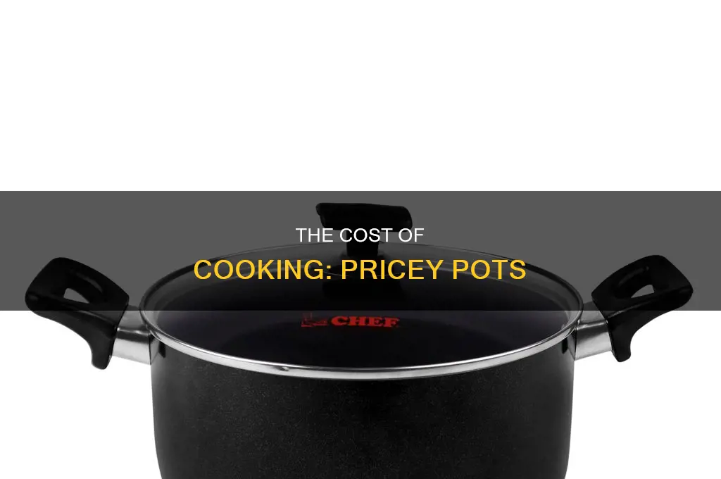 how much does a cooking pot cost