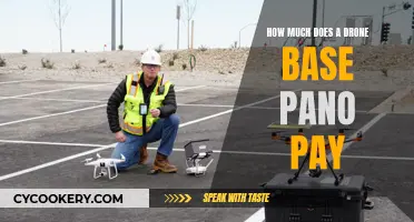 Drone Base Panos: How Much?