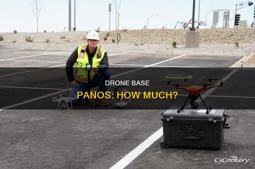 how much does a drone base pano pay