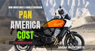 Harley Pan America: Price Tag and Features