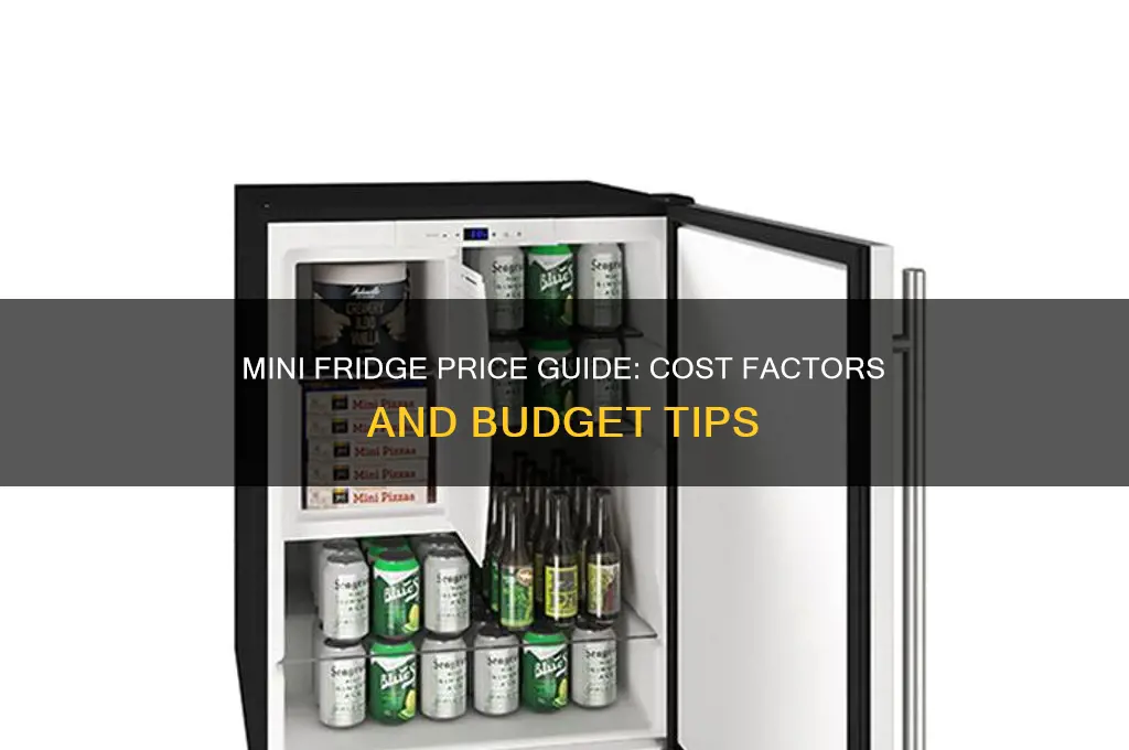 how much does a mini refrigerator cost