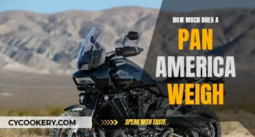 Pan America: Weight and Handling