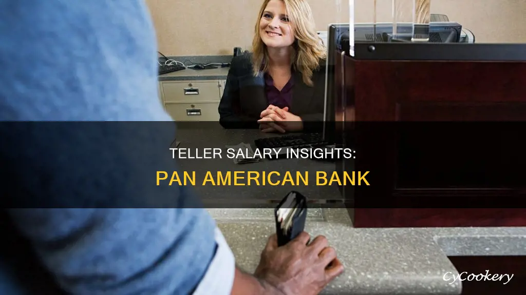 how much does a pan american teller get pais hourly