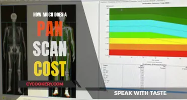 Pan Scan Costs: A Quick Breakdown