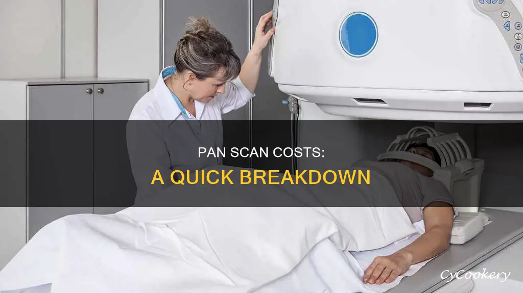 how much does a pan scan cost