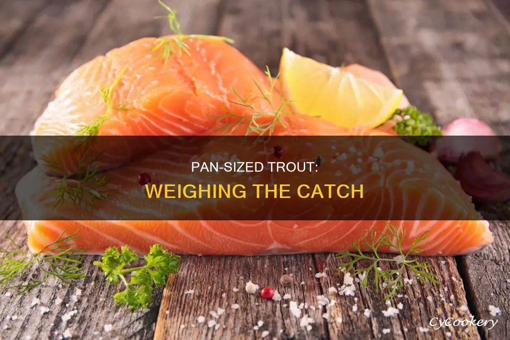 how much does a pan size trout weigh