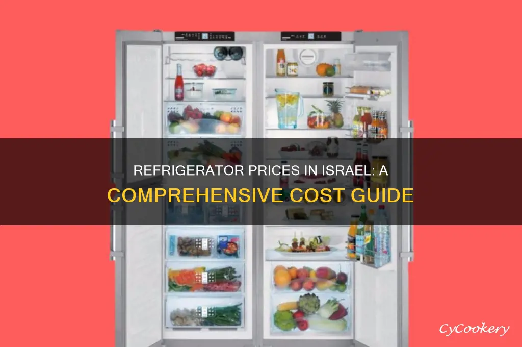 how much does a refrigerator cost in israel