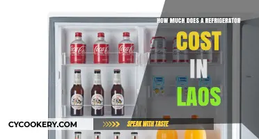Refrigerator Prices in Laos: A Comprehensive Cost Guide for Buyers