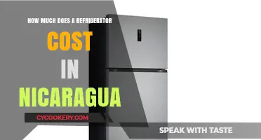 Refrigerator Prices in Nicaragua: A Comprehensive Cost Guide