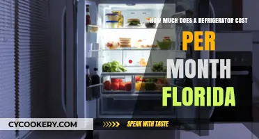 Monthly Refrigerator Costs in Florida: What to Expect