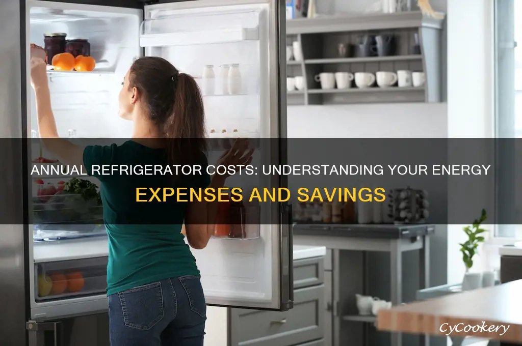 how much does a refrigerator cost per year