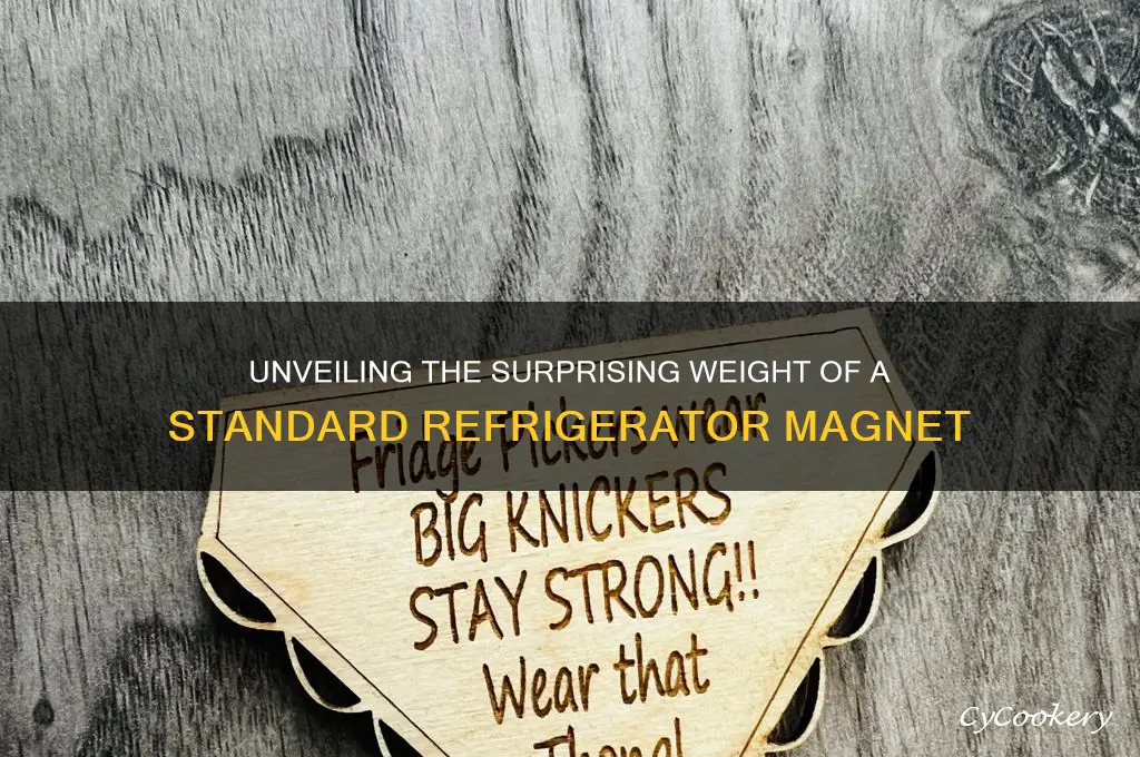 how much does a refrigerator magnet weigh