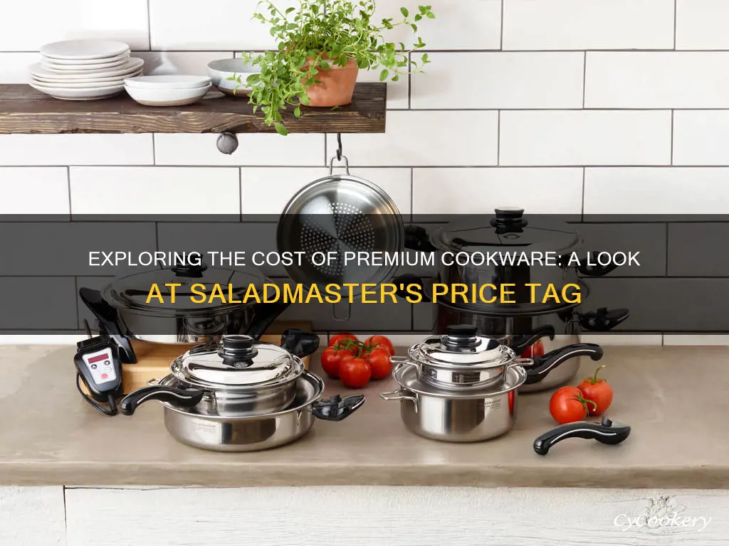 Exploring The Cost Of Premium Cookware: A Look At Saladmaster's Price ...