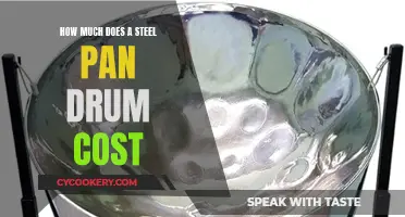 Steel Pan Drums: Expensive Musical Fun