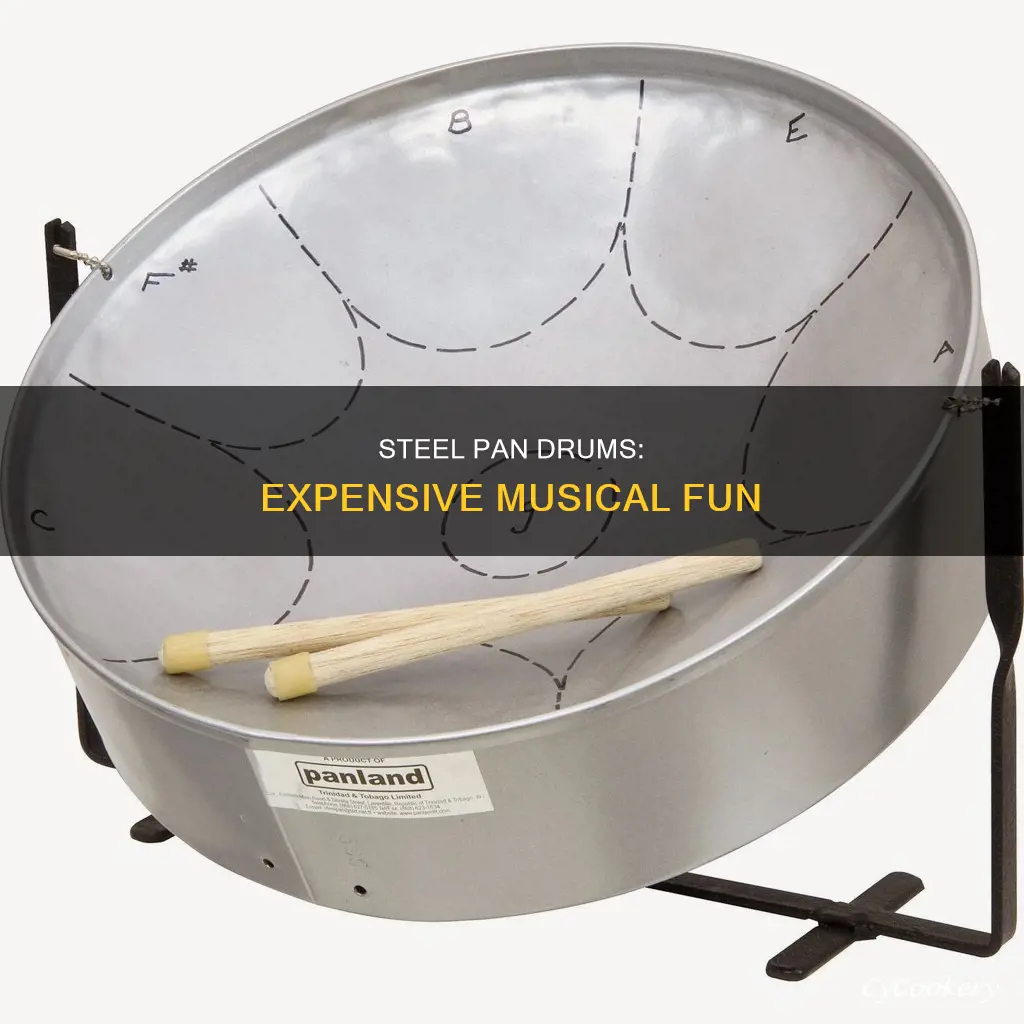 how much does a steel pan drum cost