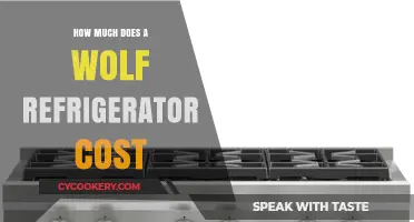 Wolf Refrigerator Pricing Guide: Costs and Features Explained