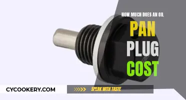 The Cost of Car Maintenance: Oil Pan Plug Expense