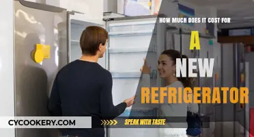 Refrigerator Replacement Costs: What to Expect When Buying New