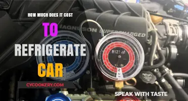 Refrigerating Your Car: Understanding the Costs and Practical Considerations