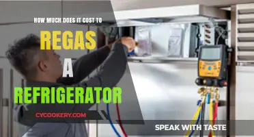 Refrigerator Regassing Costs: What to Expect for Your Appliance