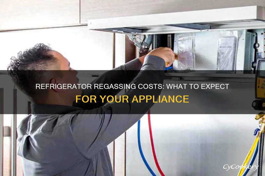 how much does it cost to regas a refrigerator
