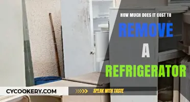 Refrigerator Removal Costs: What to Expect and How to Budget