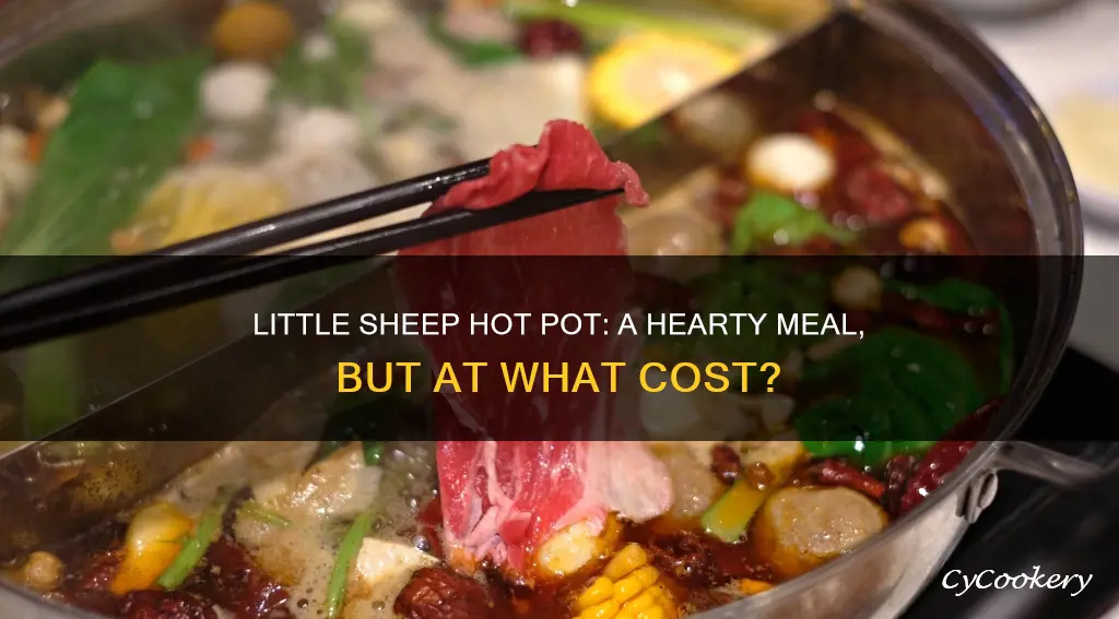 how much does little sheep hot pot cost