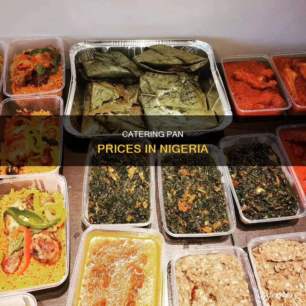 how much does nigerian charge for catering food by pans