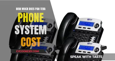 Pan Tera Phone System: Cost Analysis