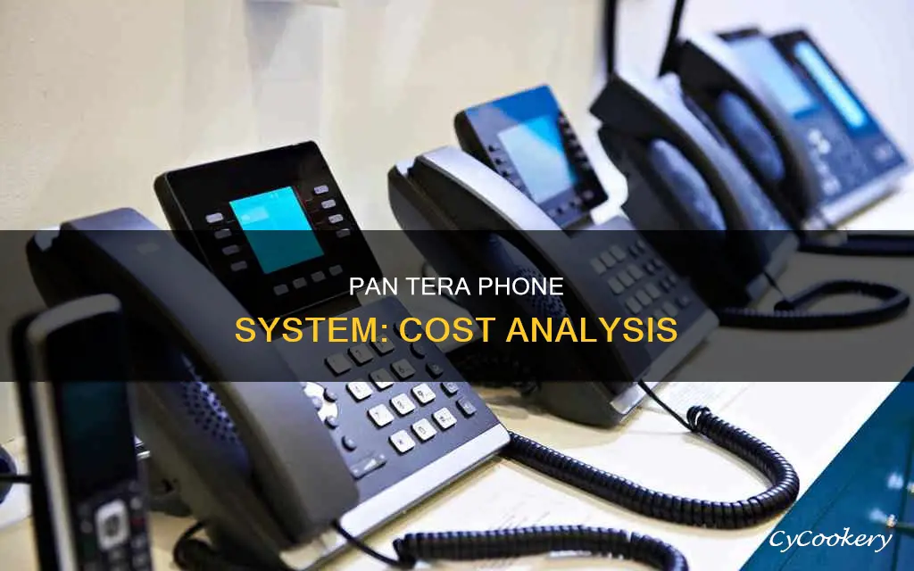 how much does pan tera phone system cost