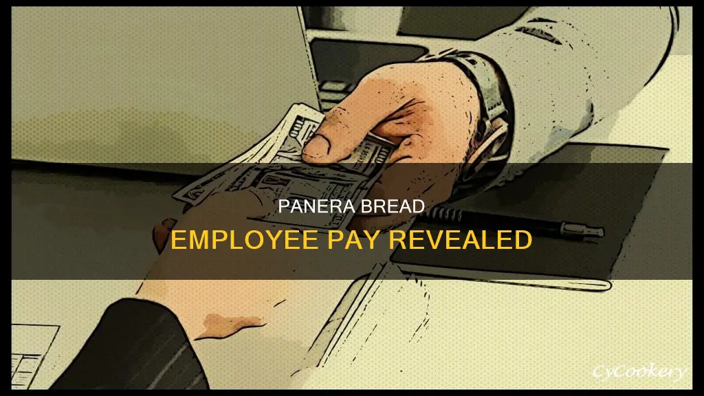 how much does panara pay