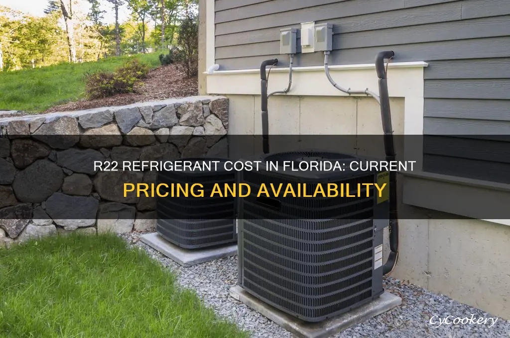 how much does r22 refrigerant cost in florida