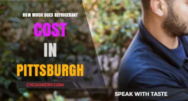 Pittsburgh Refrigerant Costs: What to Expect for Your AC or Fridge