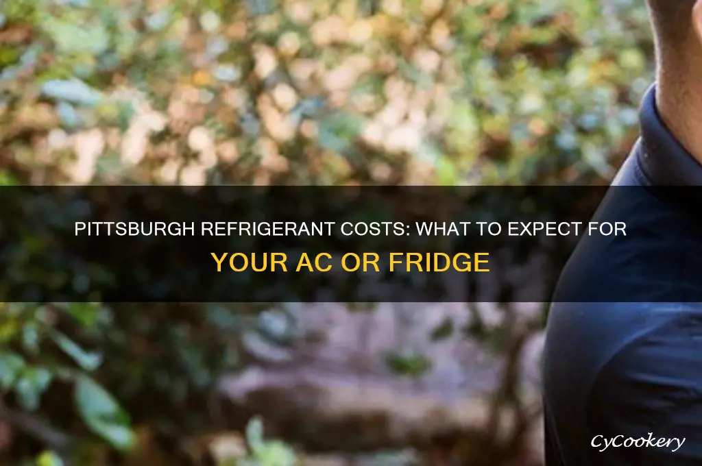 how much does refrigerant cost in pittsburgh