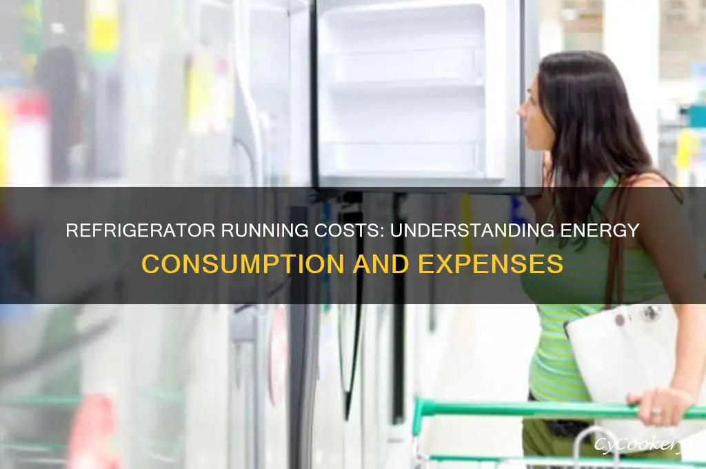 how much does refrigerator cost to run
