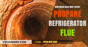 Rust Impact on Propane Refrigerator Flue: Costs and Solutions