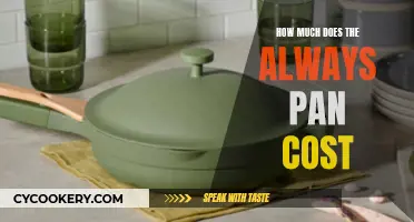 Always Pan: Worth the Price?