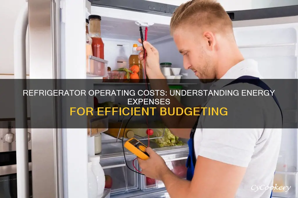 how much doesan refrigerator cost to operate