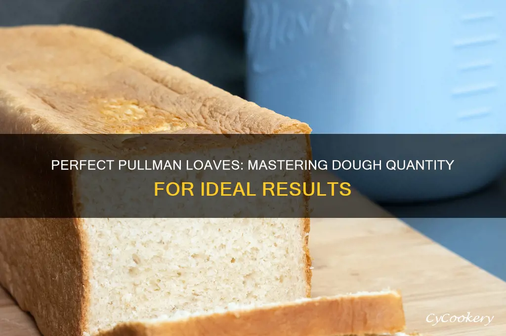 how much dough to use in pullman loaf pan